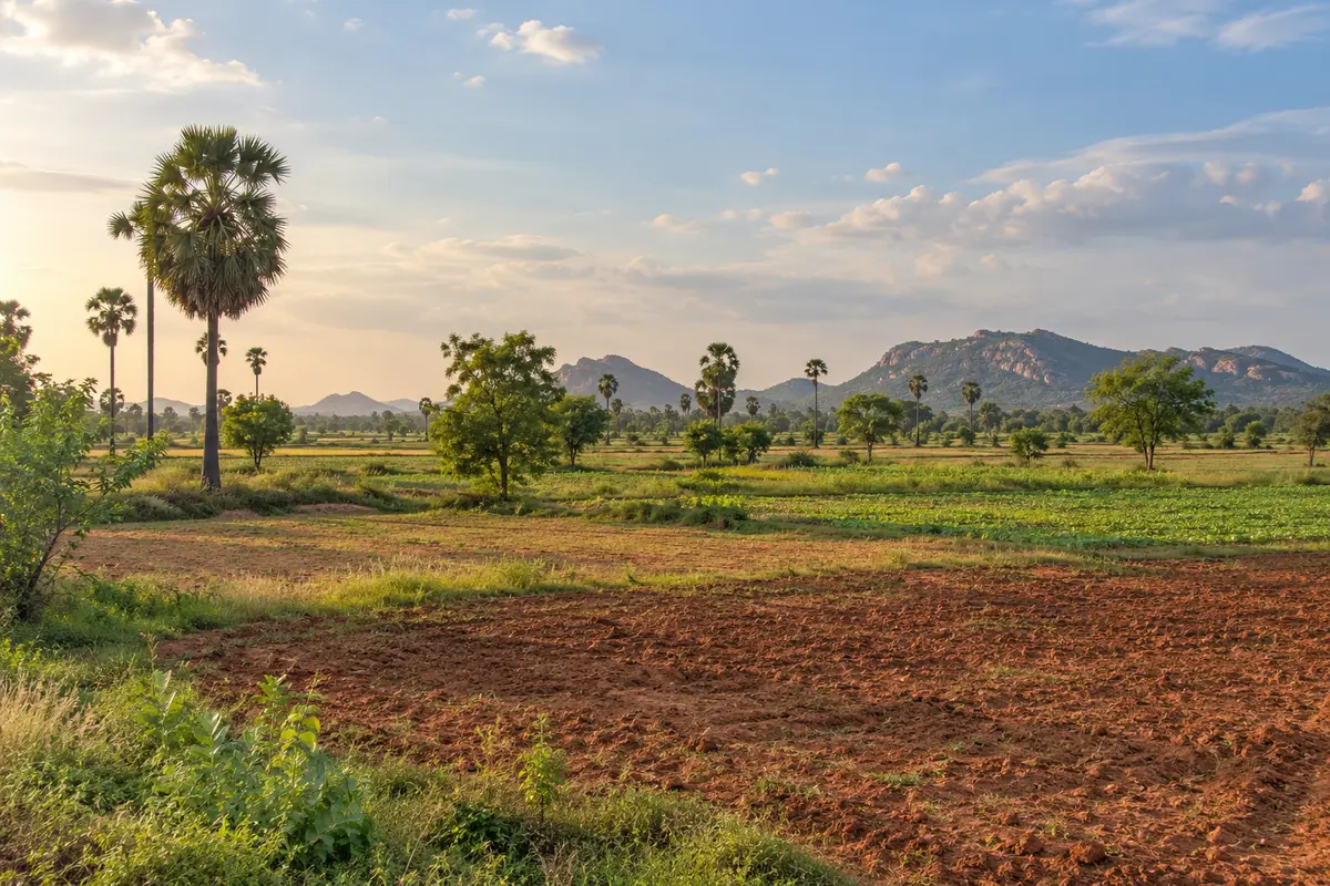 Tamil Nadu landscape