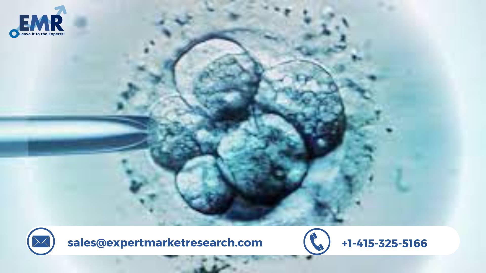 Human Embryonic Stem Cell Market Analysis